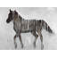 Gambading Abstract Horse Print On Canvas