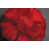 Rouge est en rupture de stock