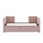 Shamina Upholstered daybed with Pop Up Trundle-1674359527