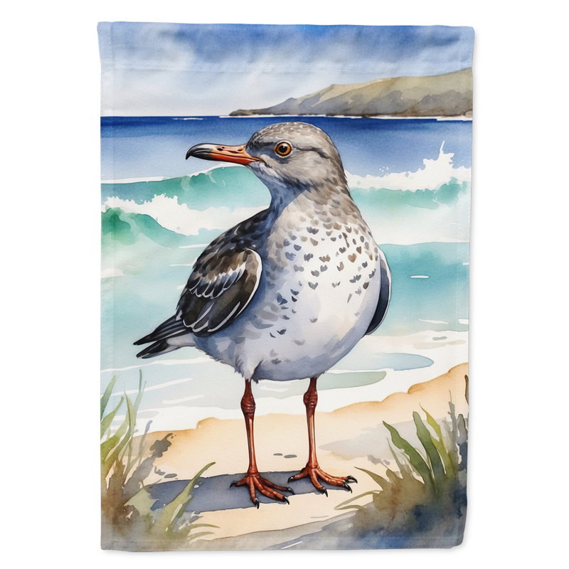 Drapeau de jardin Surfbird Bird, Surfbird