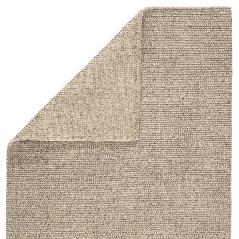 Chael Area Rug in Light Gray, Rectangle 2' x 3'