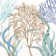 Soft Shores VII by Beth Grove - Painting Print on Canvas