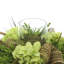 Hydrangea and Magnolia Leaf Centerpiece