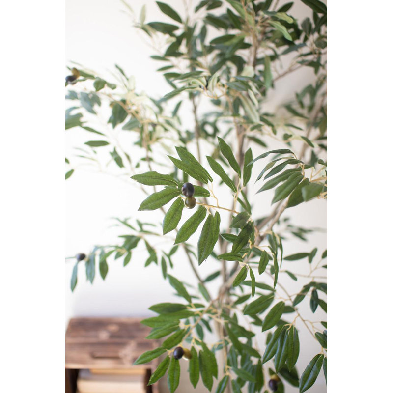 Kalalou Tall Artificial Olive Tree 63"H – Decorative Greenery in Black Plastic Pot