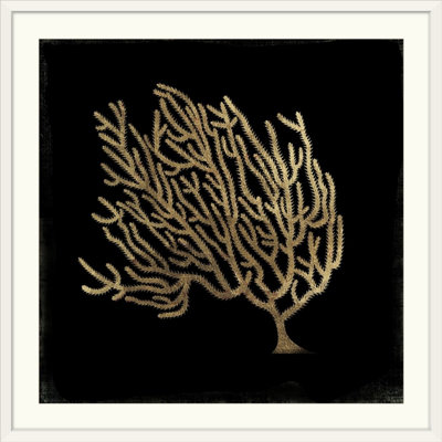 « corail ii », impression