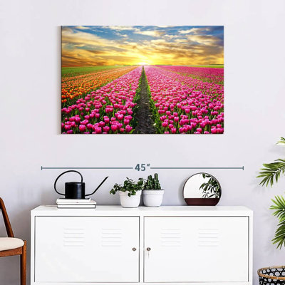 Champ de tulipes