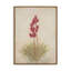 «Desert Flora Triptych» par Paul Meyer-1377021268