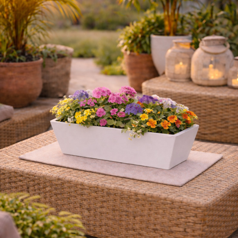 Bini Window Box, Contemporary Concrete Effect Plant Pot, Outdoor Windowsill Planter with Drainage Plug, White