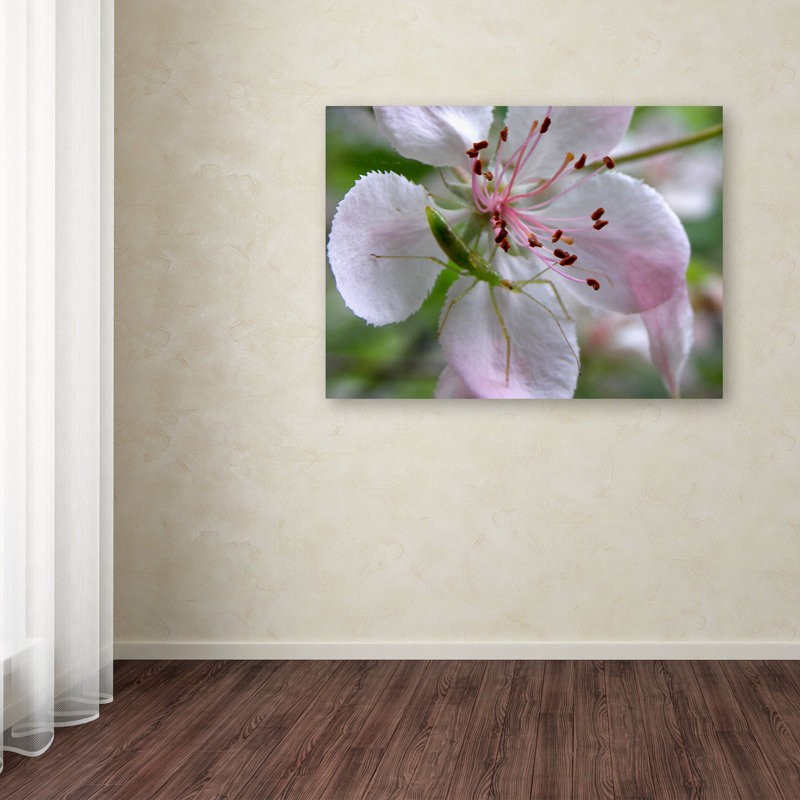 Natural Haven Green Insect on Pink Flower Canvas Print
