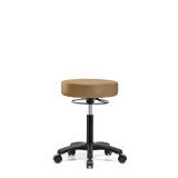 Kaiya Adjustable Height Lab Stool with Wheels