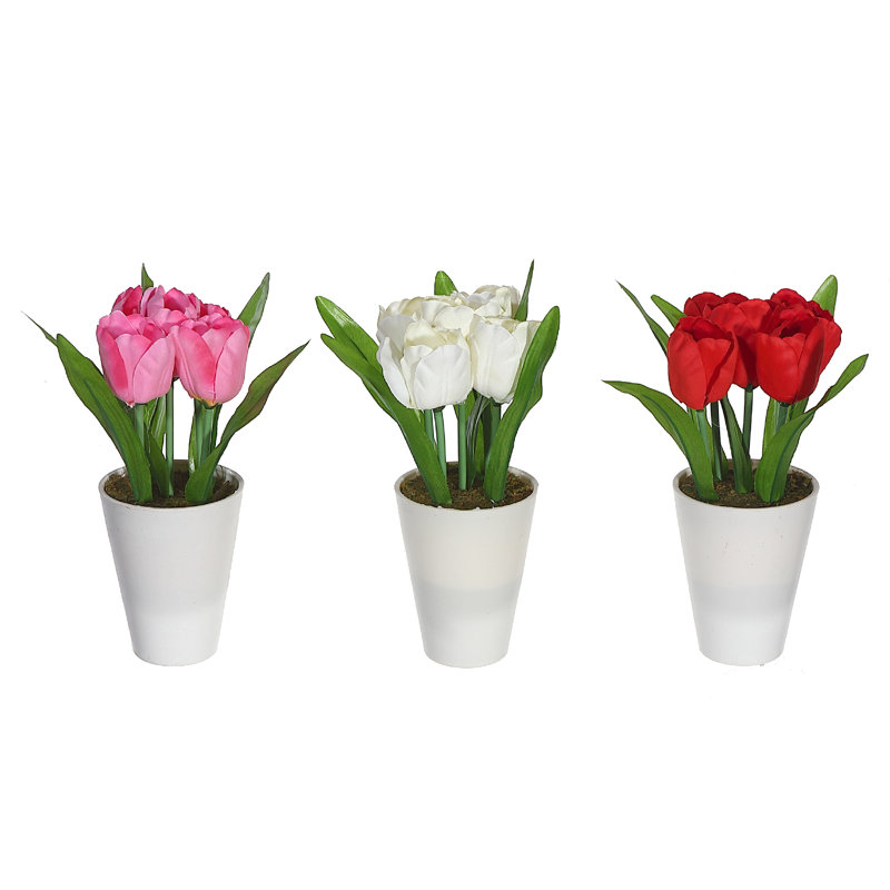 Tulip Arrangement in Pot