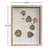 " Sibley Leaf " 6 - Pieces