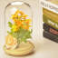 Petrolia Cloche Or Water Globe-1418893589