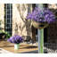 Arrangement-1739132729
