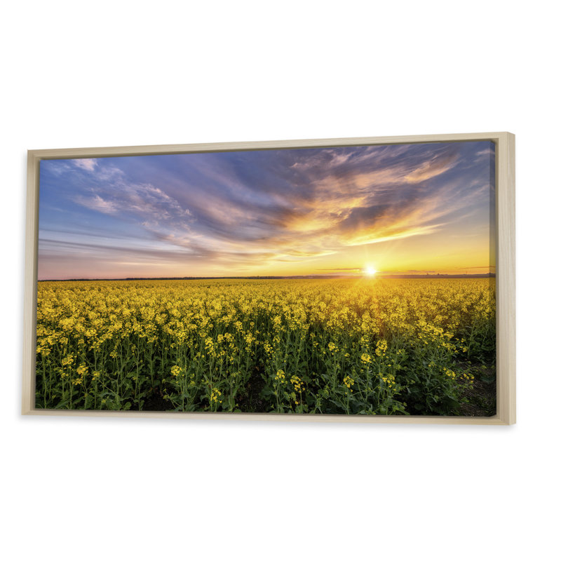 «Sunset Rape Fields» - photographie sur toile, H 8 po x l 12 po x P 1 po, Cadre brun