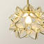 Allissia 1 - Light Brushed Gold Pendant-500771109
