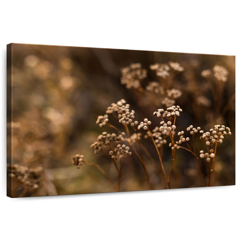 Harnek fleurs d'automne sauvages