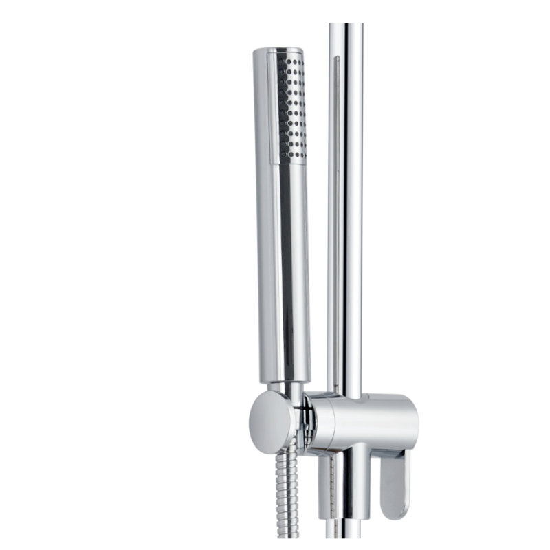 Pomme de douche coulissante double / standard 2,5 GPM GPM, Chrome