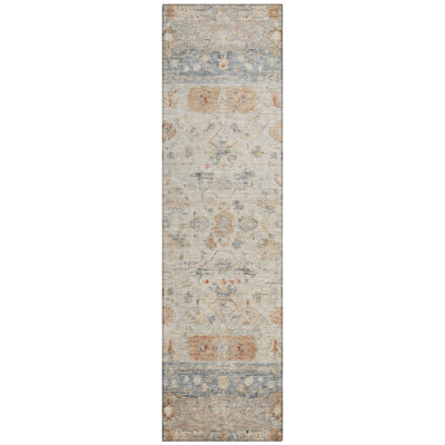 Machine Washable Indoor/Outdoor Chantille ACN2323 Global Rug