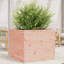 2 Wood Planter-100491986-100491989