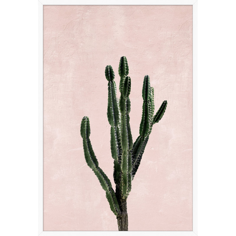 Pink Cacti 2 Print by Nathan Turner