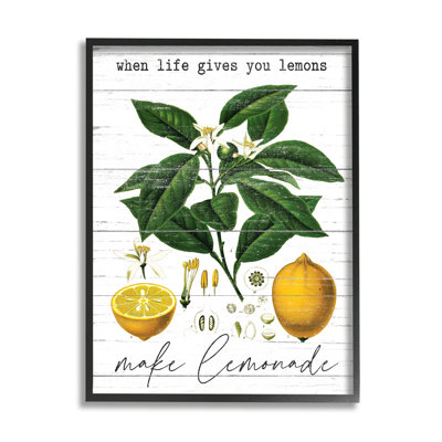 «Life Gives Lemons Quote Country Fruit Anatomy», reproduction d'art graphique
