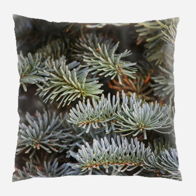 Canvas Outdoor Reversible Throw Pillow