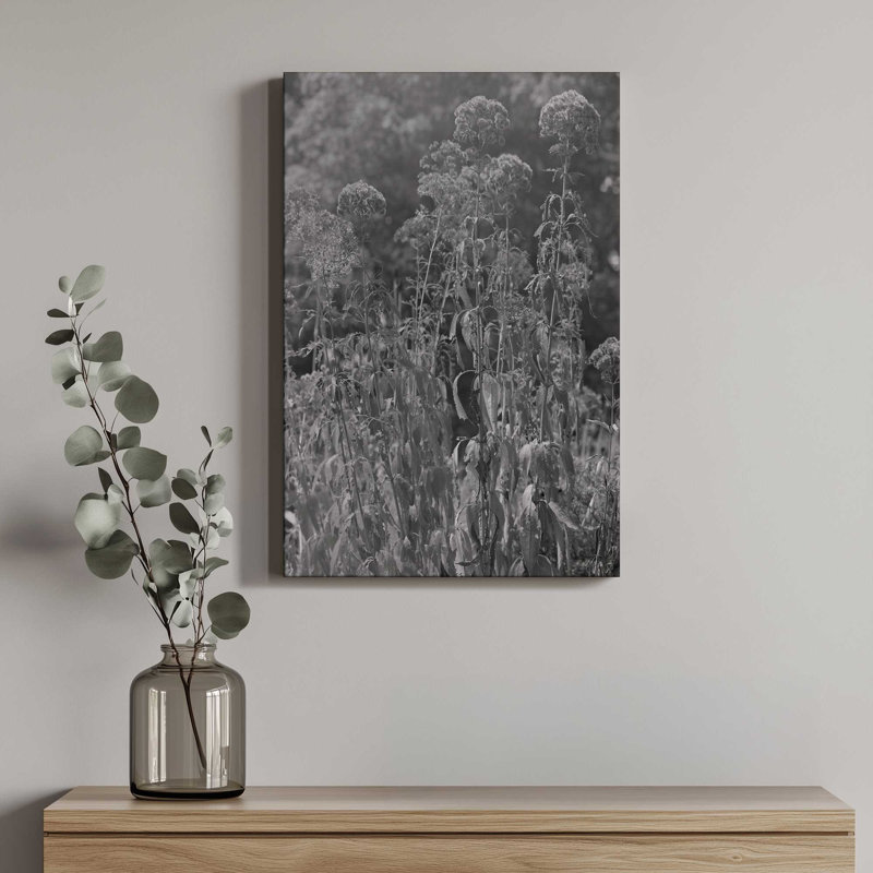 «Joe Pye Weed» par Tony Smith, reproduction d'art sur toile, H 12 po x l 8 po