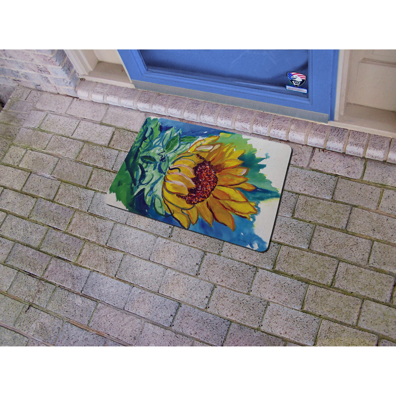 Olmos Non-Slip Doormat, Rectangle 1'6" x 2'2"