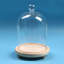 Petrolia Cloche Or Water Globe-687655675