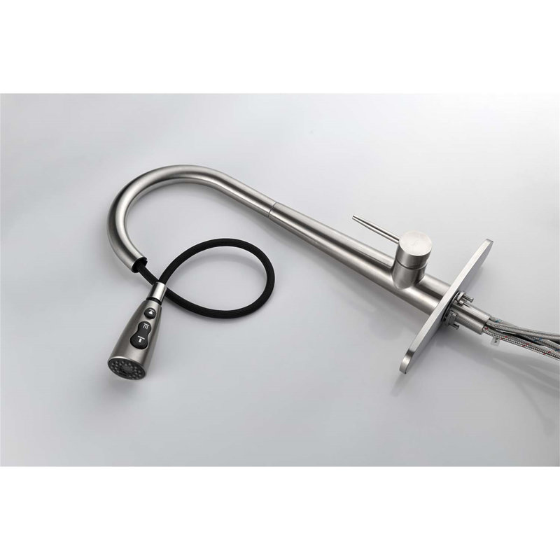 Robinet d'évier de cuisine à poignée simple en acier inoxydable avec douchette extractible, Nickel brossé