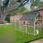 Outdoor Cat Cage  Box Lovely House Cute Pet Play Wooden White Big for Backyard Room