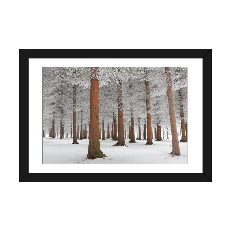 Blanc, reproduction de photo sur toile tendue, H 16 po x l 24 po x P 1 po, Papier d'art encadré noir, Blanc