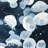 Jellyfishs - 32"x32" art on canvas