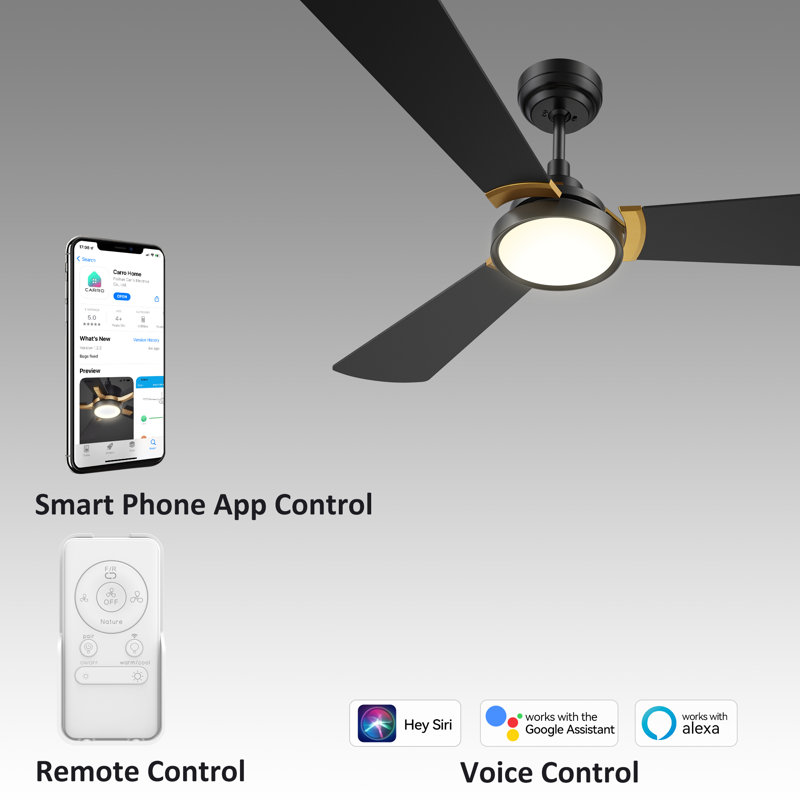 Ventilateur de plafond intelligent de 56 po avec lumière DEL, télécommande, tige verticale incluse, moteur à courant continu