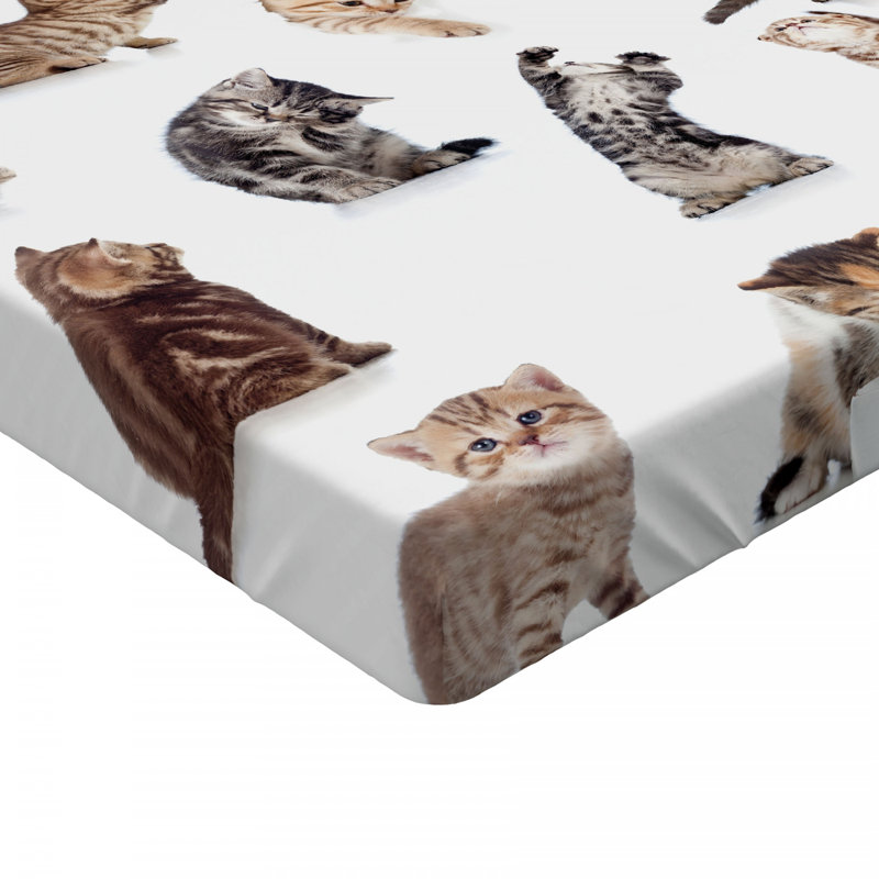 Twin Black and White Cat Print Microfiber Fitted Sheet