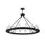 Ackermann 16 - Light Chandelier