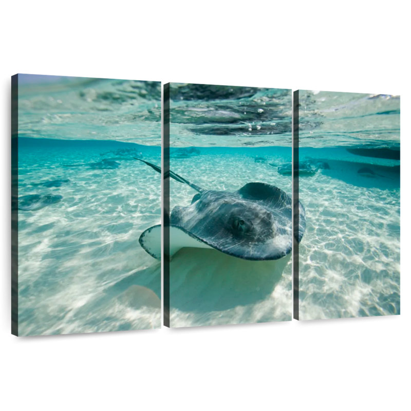 Brampt Underwater Southern Stingrays, 28" H x 45" W