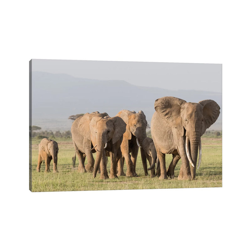 Africa, Kenya, Amboseli National Park. Elephants On The March. by Jaynes Gallery - Wrapped Canvas Print