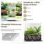 Lit de jardin surélevé avec treillis sur roulettes - Boîte à fleurs polyvalente en métal avec treillis, boîtes à fleurs multi-styles avec écran d'intimité en treillis pour patio et jardin-955127424-955127428