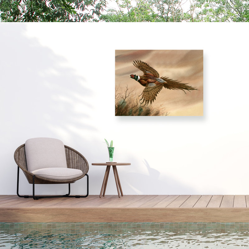 Toile pour l'extérieur «Dave Bartholet Pheasant», H 35 po x l 47 po