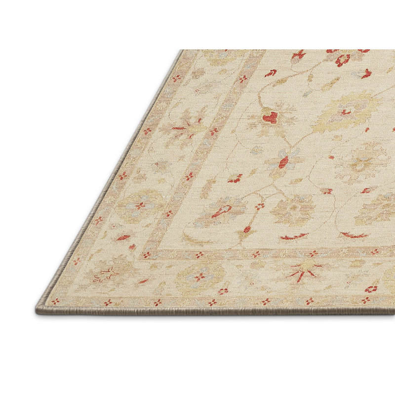 Oriental Indoor Rug, Rectangle 5' x 7'