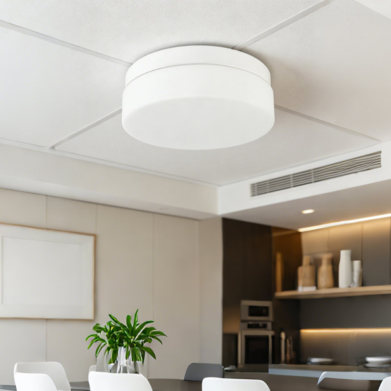 12in Round LED Lights Fixtures 5CCT 3000K-6500K Dimmable Flush Mount Ceiling Light Fixture, White, Full White