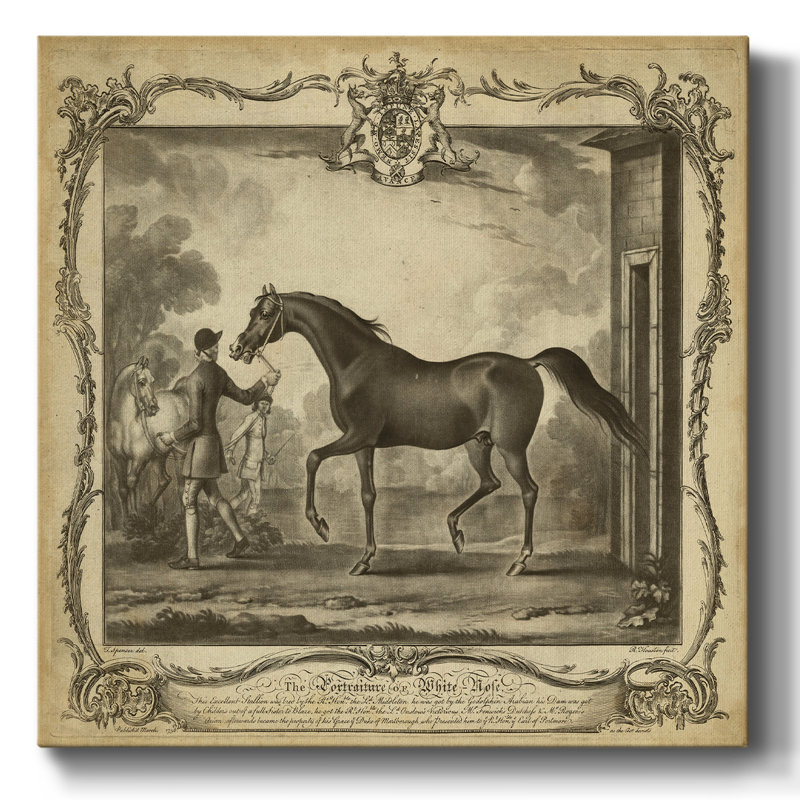 Chevaux distingués IV sur toile, H 24 po x l 24 po