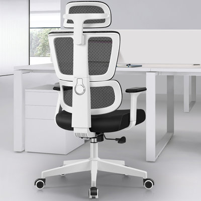 Culbane Ergonomic Mesh Office Chair