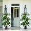 Akmal Faux Plant-1694493991