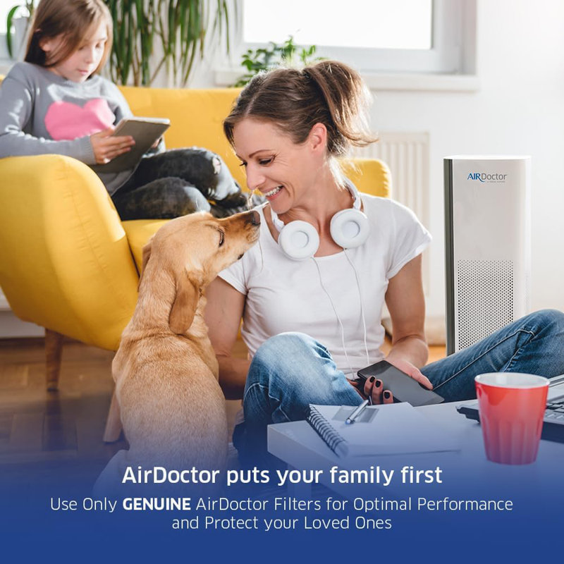 UltraHEPA and Carbon VOC Air Purifier Filter Set