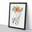 Orange California Poppy - Picture Frame Painting Print-55581144-55581139