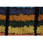 One-of-a-Kind 3' X 4'9" Hand Knotted Area Rug