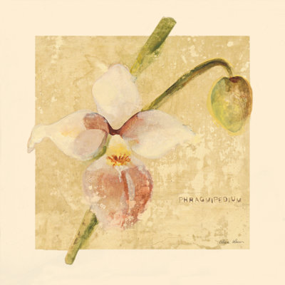 «Exotic Floral IV Crop» par Cheri Blum - reproduction